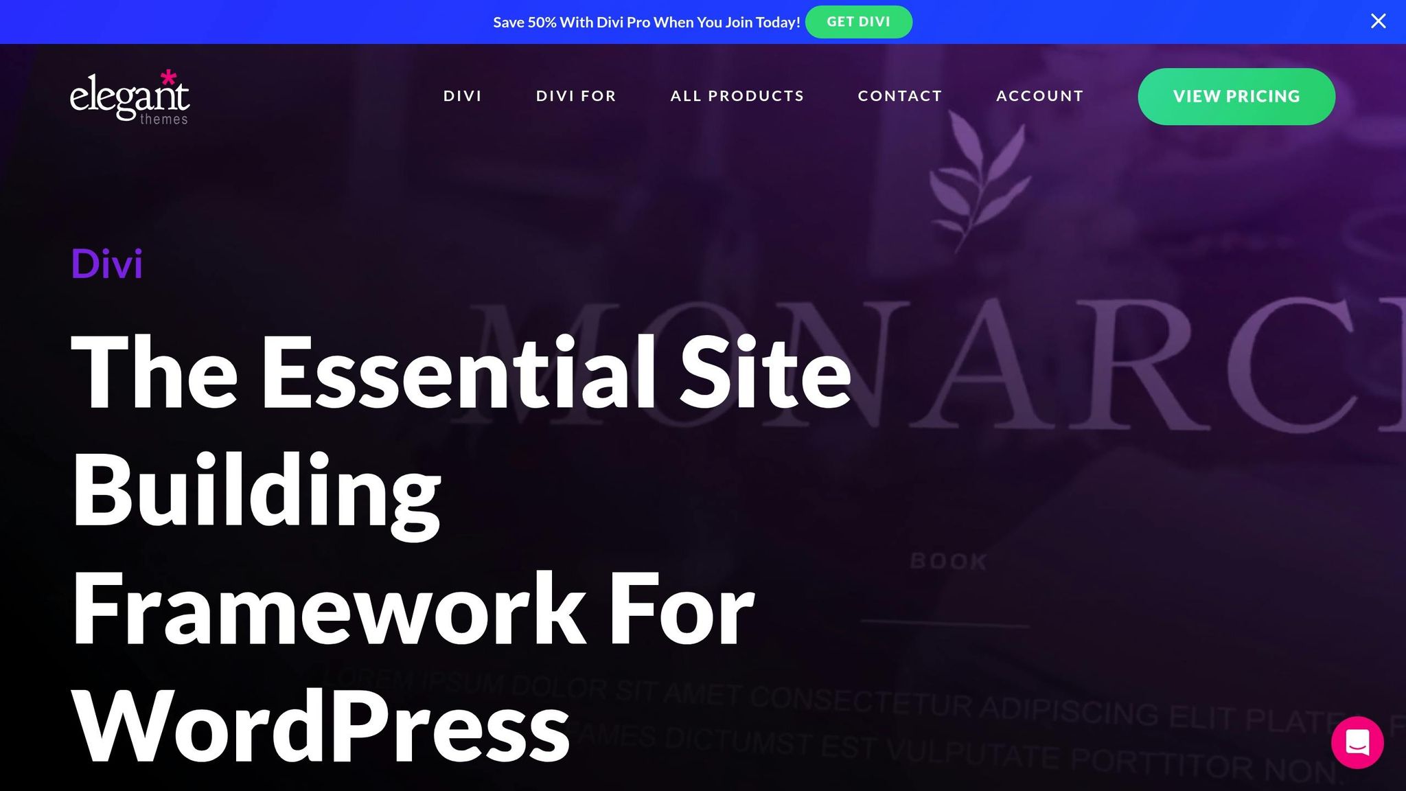 Screenshot of the Divi WordPress theme website